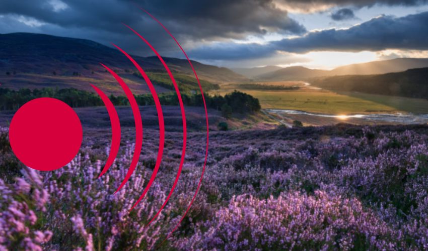 Private Investigator Scotland