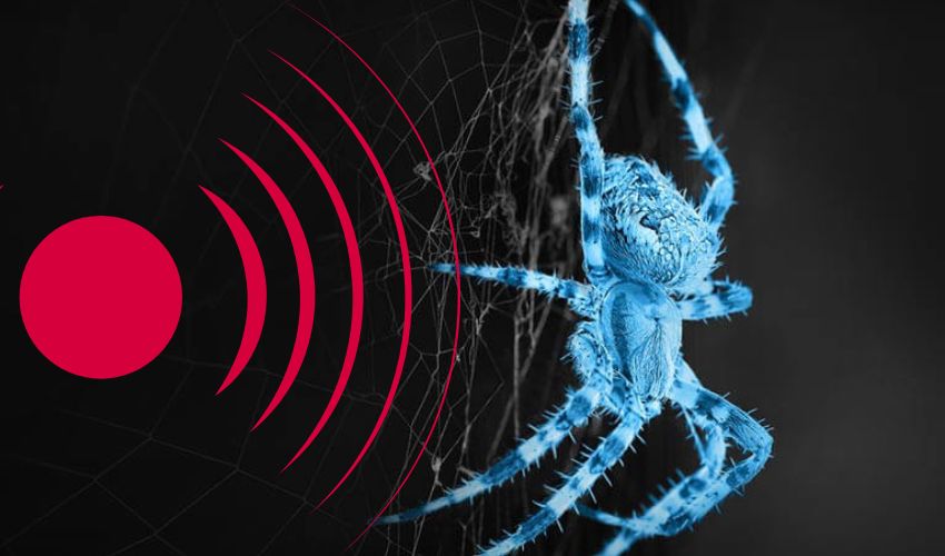 Bug Sweeps (TSCM)